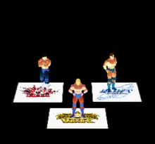 Image n° 1 - screenshots  : Jikkyou Power Pro Wrestling '96 - Max Voltage